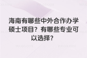 海南有哪些中外合作办学硕士项目?有哪些专业可以选择?