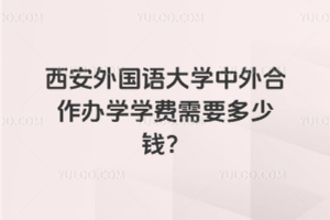 西安外国语大学中外合作办学学费需要多少钱？