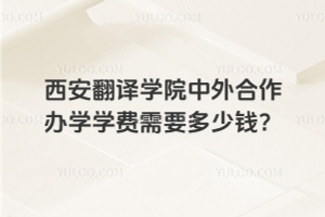 西安翻译学院中外合作办学学费需要多少钱？
