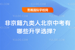 �Ǿ��������˱����п�����Щ��ѧѡ��