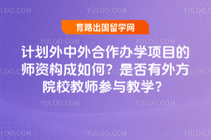 计划外中外合作办学项目的师资构成如何?是否有外方院校教师参与教学?