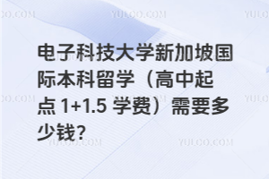 电子科技大学新加坡国际本科留学（高中起点 1+1.5 学费）需要多少钱？