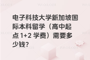 电子科技大学新加坡国际本科留学（高中起点 1+2 学费）需要多少钱？