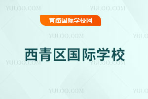 西青区国际学校