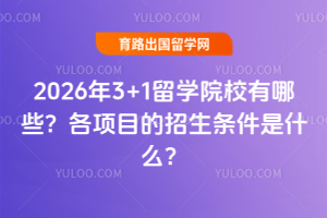 2026��3+1��ѧԺУ����Щ������Ŀ������������ʲô��​