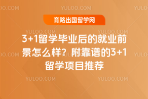 3+1ѧҵľҵǰô׵3+1ѧĿƼ