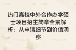 热门高校中外合作办学硕士项目招生简章全景解析:从申请细节到价值洞察