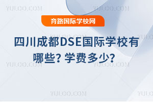 ĴɶDSEѧУЩ2026ѧѶ٣