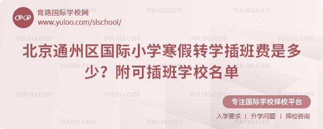 2026年北京通州区国际小学寒假转学插班费是多少