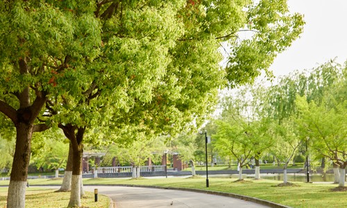 ��h�Ƽ���W(xu��)