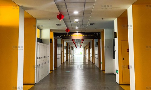 北京朝阳凯文学校升学成果