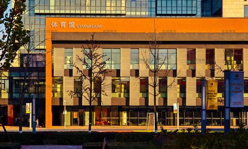 北京朝阳凯文学校升学成果