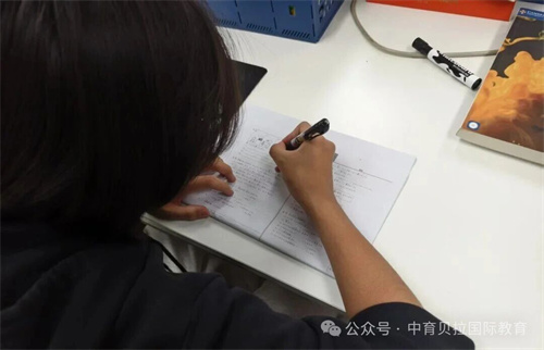 中育贝拉的学管体系g