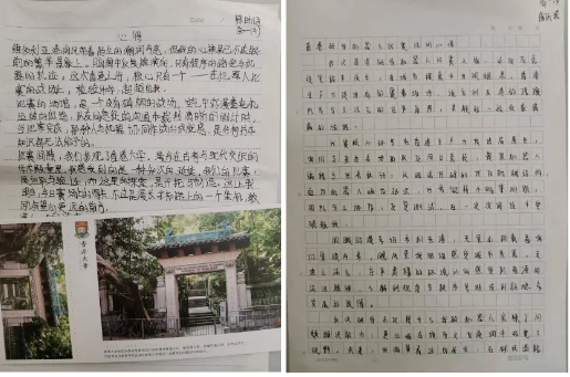 八中怡海分校机械人战比赛