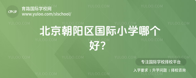 北京朝阳区国际小学哪个好?