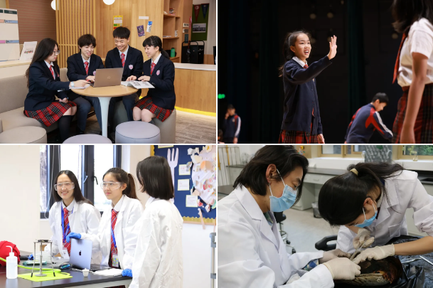 北京德闳IAD国际高级文凭项目