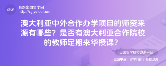 澳大利亚中外合作办学师资