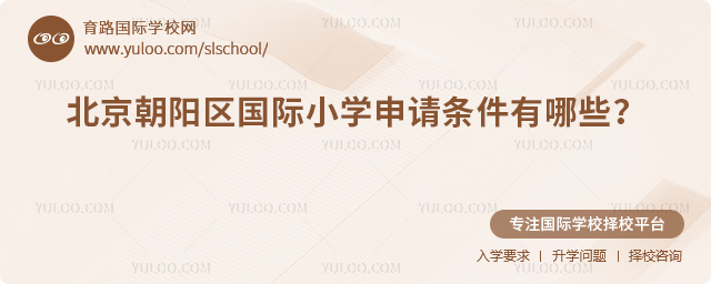 2026年北京朝阳区国际小学申请条件有哪些