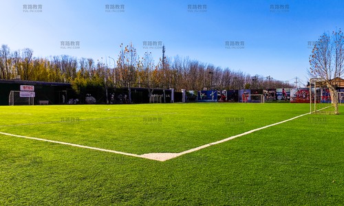 AI教学大楼前的足球场