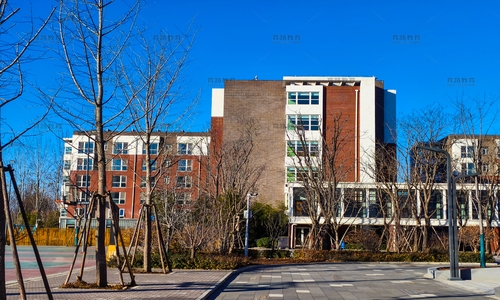 ��Ӣ��ѧУѧ������¥