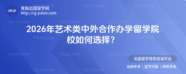 艺术类中外合作办学院校