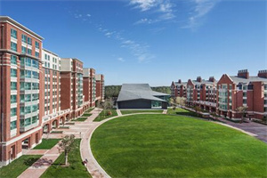 ��ʯ����ѧУ