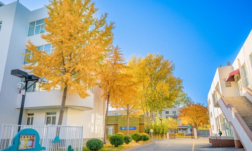 ����ʦ����ѧ��̫ʵ��ѧУ