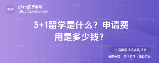 3+1��ѧ��ʲô