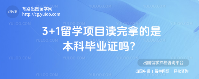 3+1��ѧ��ҵ֤