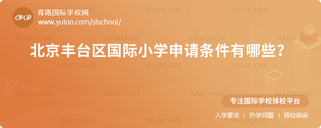 2026�걱����̨������Сѧ������������Щ