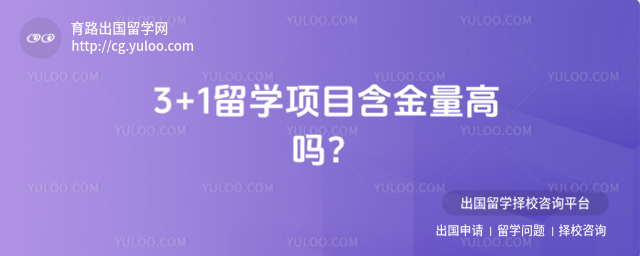 3+1��ѧ������