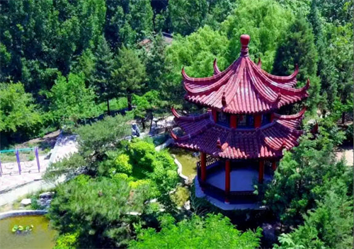 ��´��ԺУ԰����