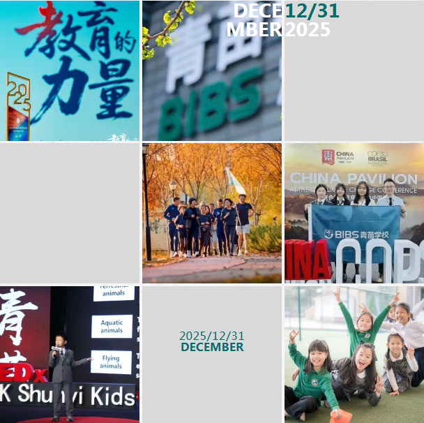 青苗学校年度盘点