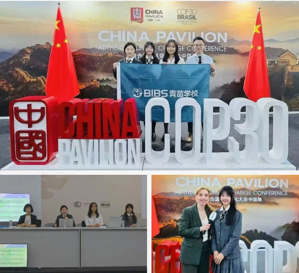 青苗学校年度盘点