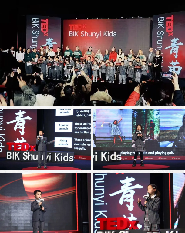 青苗学校年度盘点