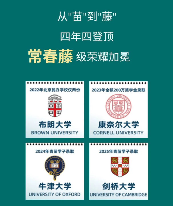 青苗学校年度盘点