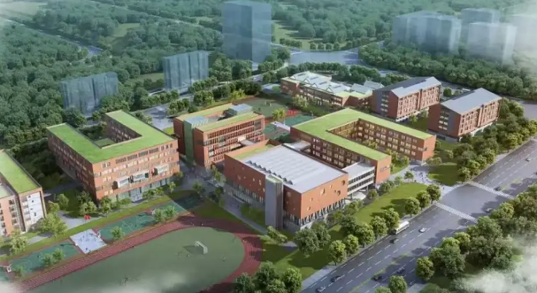 青苗学校年度盘点