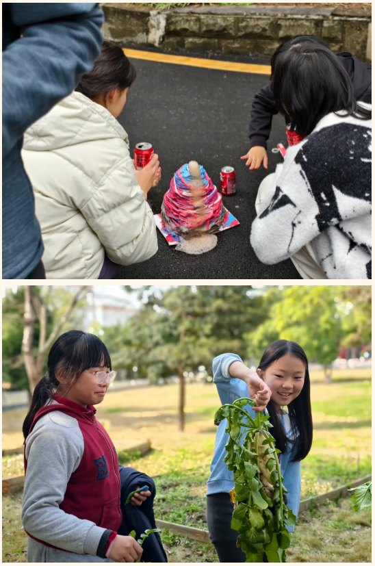 �ɶ������������