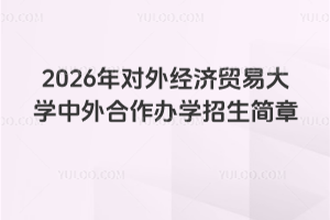 2026年对外经济贸易大学中外合作办学招生简章