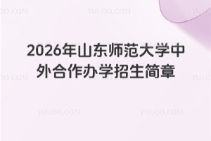 2026年山东师范大学中外合作办学招生简章