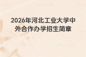 2026年河北工业大学中外合作办学招生简章