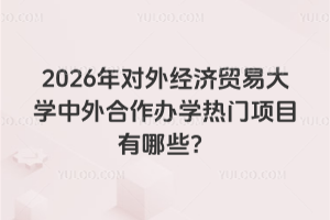 2026年对外经济贸易大学中外合作办学热门项目有哪些？