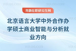 北京语言大学中外合作办学硕士商业智能与分析就业方向