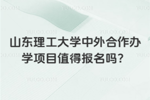 山东理工大学中外合作办学项目值得报名吗？