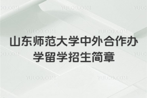山东师范大学中外合作办学留学招生简章