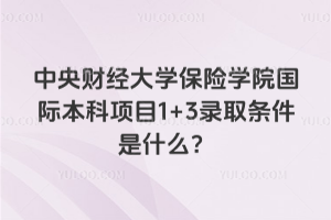 中央财经大学保险学院国际本科项目1+3录取条件是什么？