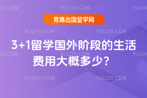 3+1��ѧ����׶ε�������ô�Ŷ��٣�