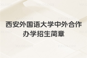 西安外国语大学中外合作办学招生简章