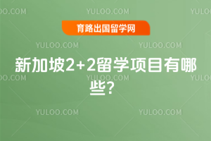 �¼���2+2��ѧ��Ŀ����Щ��