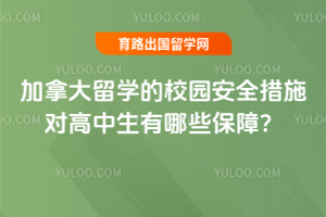 ���ô���ѧ��У԰��ȫ��ʩ�Ը���������Щ���ϣ�